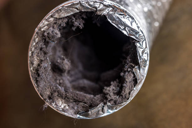 Best Affordable Air Duct Cleaning  in Rock Springs, NM